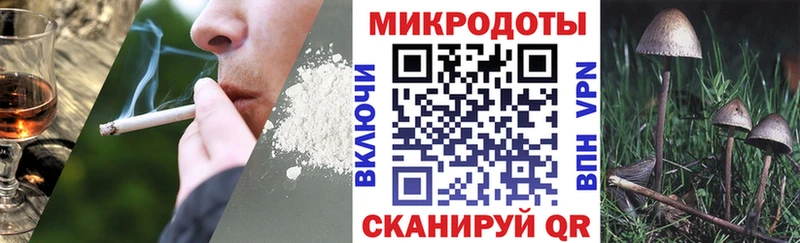 Купить  Зеленогорск  Псилоцибиновые грибы Psilocybine cubensis 