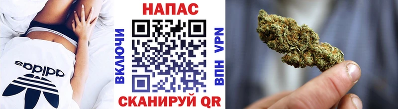 Купить закладки  Зеленогорск  Бошки Шишки гибрид 